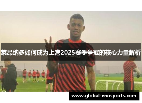 莱昂纳多如何成为上港2025赛季争冠的核心力量解析
