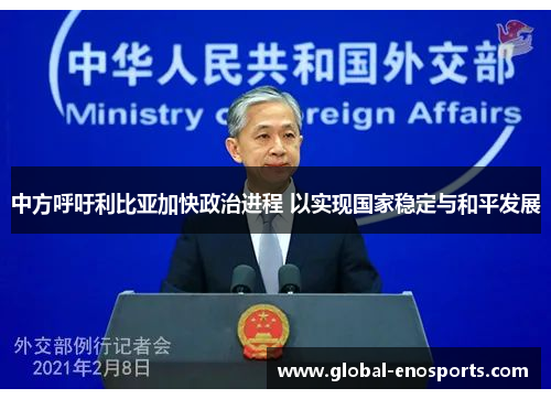 中方呼吁利比亚加快政治进程 以实现国家稳定与和平发展